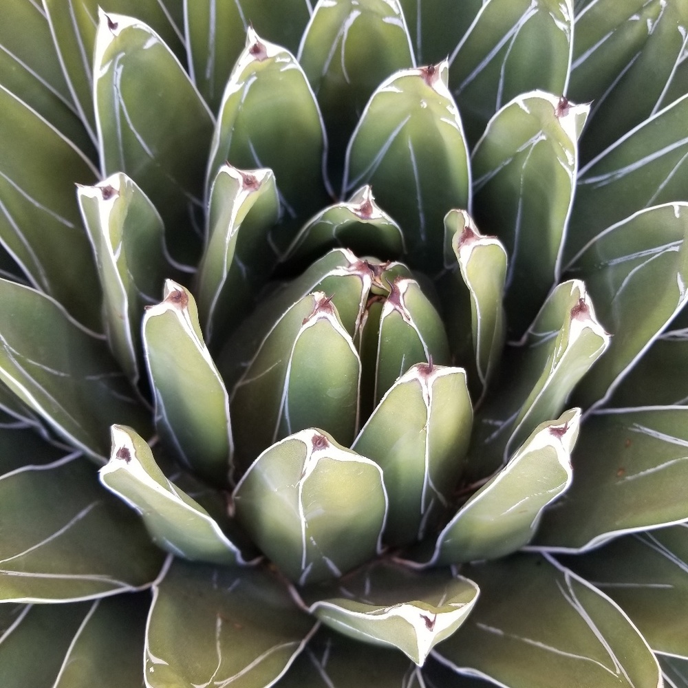 Meet your Posher, Harper